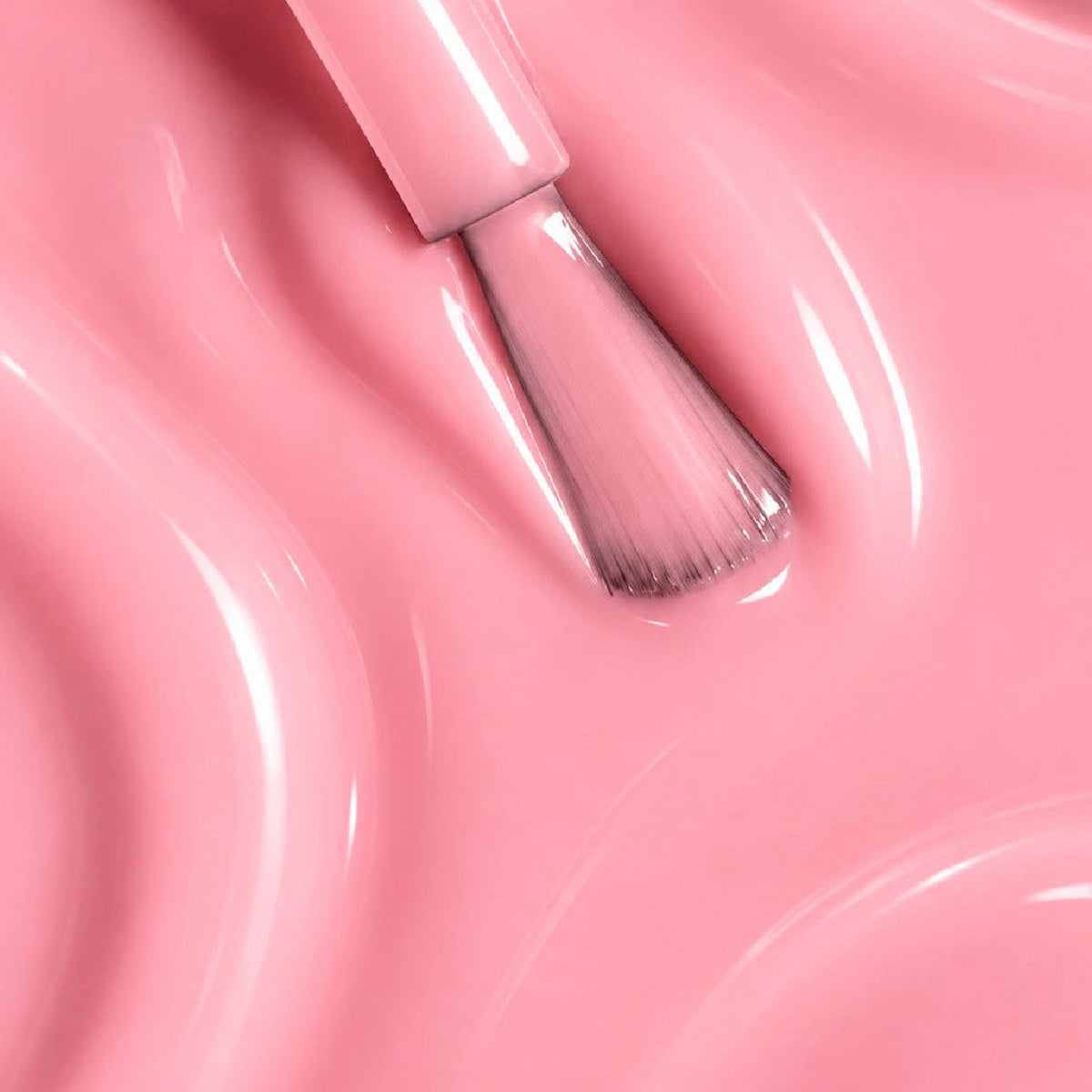 SCULPT A BASE - PETAL